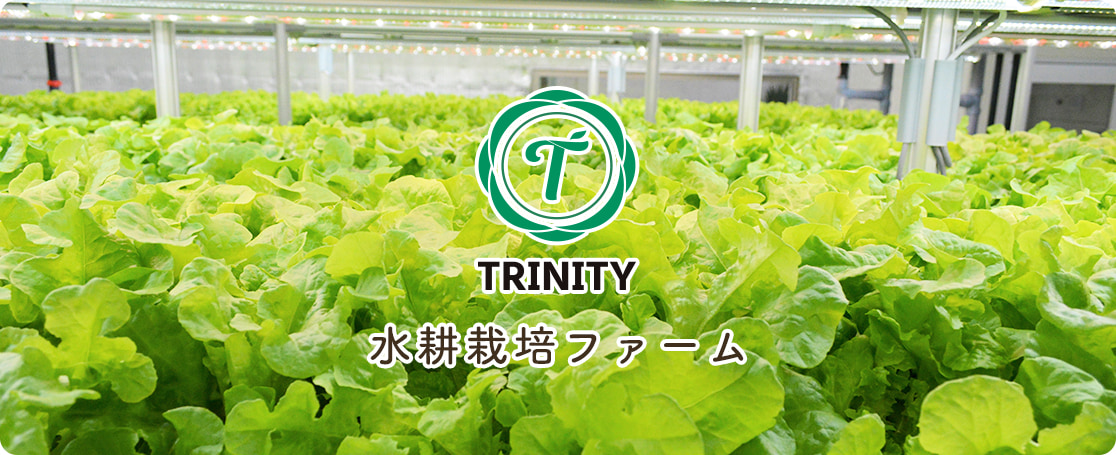 TRINTY 水耕栽培ファーム